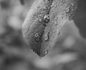 Image post by @rosst_photography on Instagram