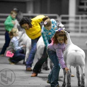 Image post by @nationalwestern on Instagram