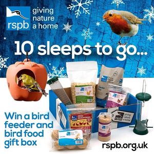Image post by @rspb on Instagram