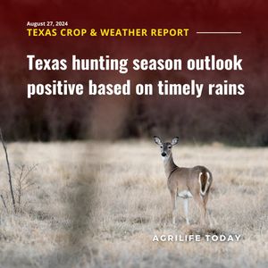Image post by @txextension on Instagram