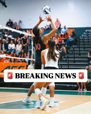 Image post by @canes_vb on Instagram
