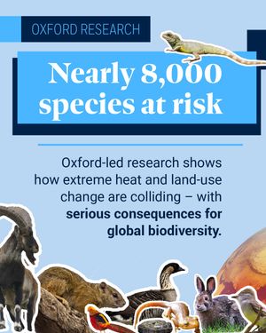 Image post by @oxford_uni on Instagram
