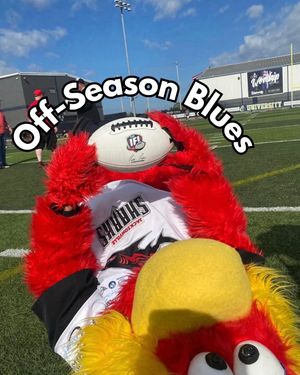 Image post by @jaxsharks on Instagram