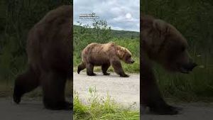 Video post by @accuweather on YouTube