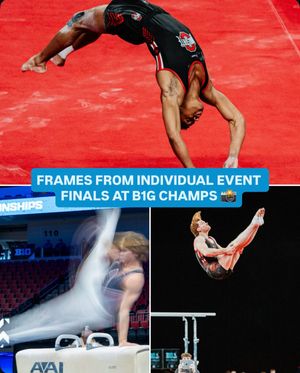 Image post by @b1ggymnastics on Instagram