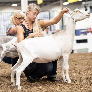 Image post by @MichiganStateFair on Facebook