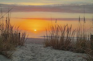 Image post by @southcarolina on Instagram