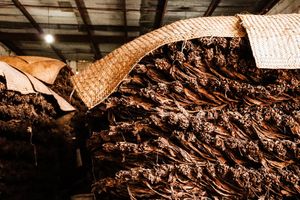 Image post by @manolo1910cigars on Instagram