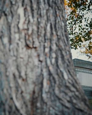 Image post by @wmu_football on Instagram