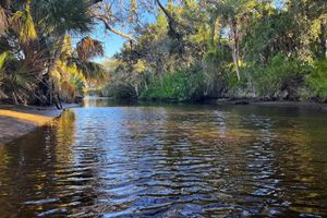 Image post by @cityofveniceflorida on Instagram