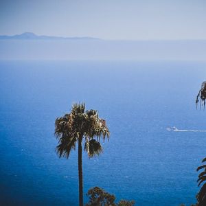 Image post by @pepperdinewaves on Instagram