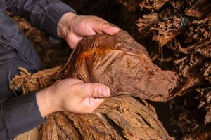 Image post by @manolo1910cigars on Instagram