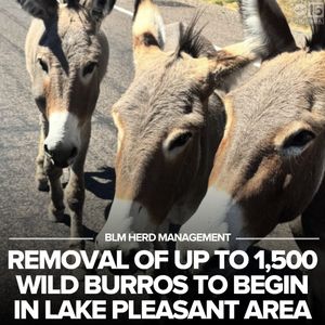 Image post by @abc15arizona on Instagram