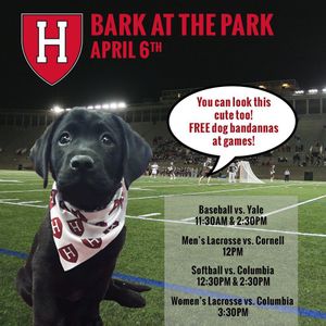 Image post by @harvardcrimson on Instagram