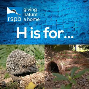 Image post by @rspb on Instagram