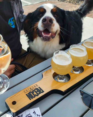 Image post by @reconbrewing on Instagram