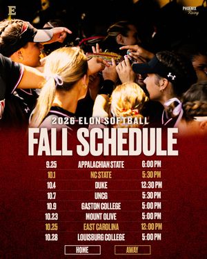 Image post by @elonsoftball on Instagram