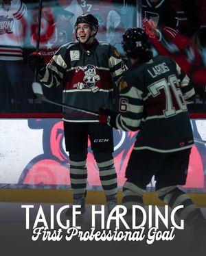 Image post by @rockfordicehogs on Instagram