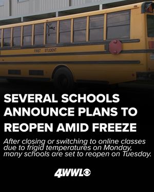Image post by @wwltv on Instagram