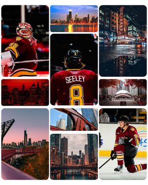 Image post by @chicagowolves on Instagram