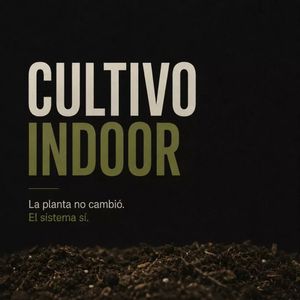 Image post by @bigote.verde on Instagram