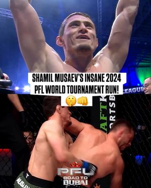 Image post by @pflmma on Instagram