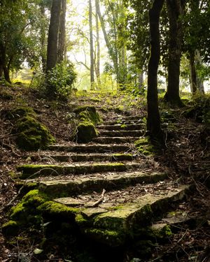 Image post by @fauna.patagonia on Instagram