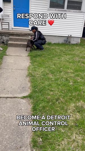 Video post by @DetroitGSD on Facebook