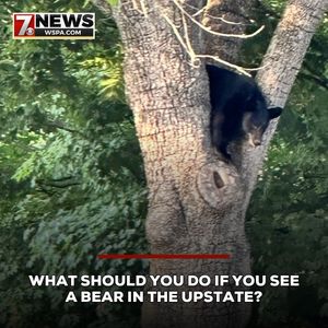 Image post by @wspatv on Instagram