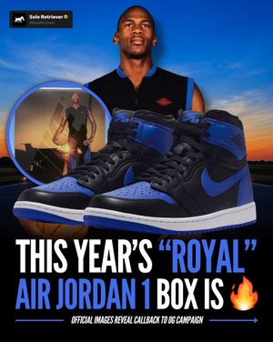 Image post by @soleretriever on Instagram