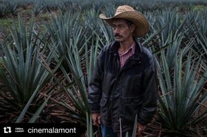 Image post by @cinemadetroit on Instagram