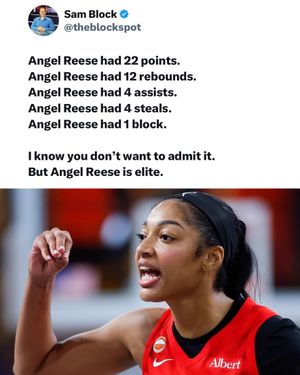 Image post by @ethicalhoopers on Instagram