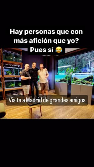 Video post by @aqualupi on Instagram