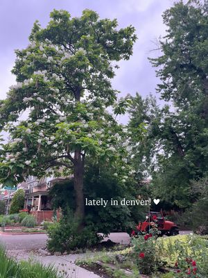 Image post by @filmbychloeg on Instagram