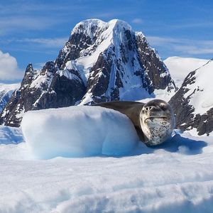 Image post by @conneronassignment on Instagram