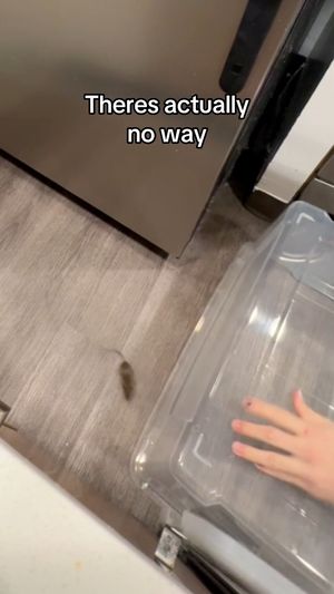 Video post by @Sean Eden on Facebook