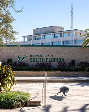 Image post by @usouthflorida on Instagram