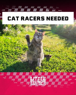 Image post by @littlestumpsracing1 on Facebook