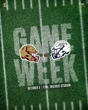 Image post by @elonfb on Instagram