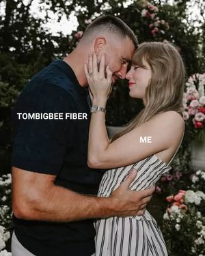 Image post by @TombigbeeFiber on Facebook