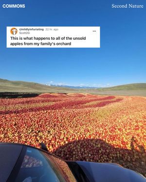 Image post by @commonsearth on Instagram