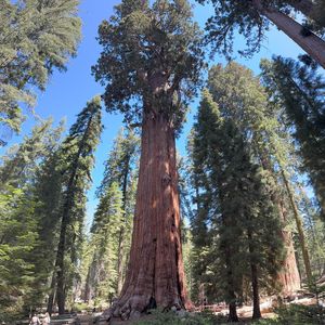 Image post by @rob_took_it on Instagram