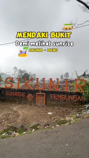 Video post by @efryee on TikTok