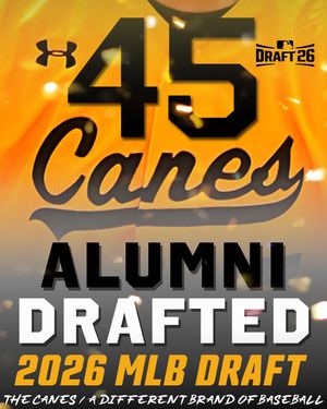 Image post by @thecanesbb on Instagram