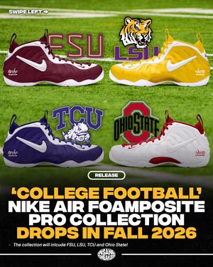 Image post by @insanesneaker on Instagram