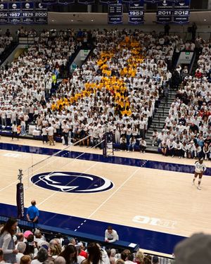 Image post by @pennstatevball on Instagram