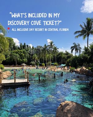 Video post by @experiencekissimmee on TikTok