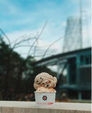 Image post by @ncstate on Instagram