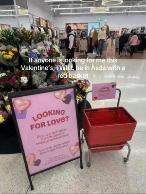 Video post by @caitlindavies00 on TikTok