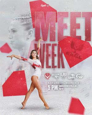 Image post by @templegymnastics on Instagram